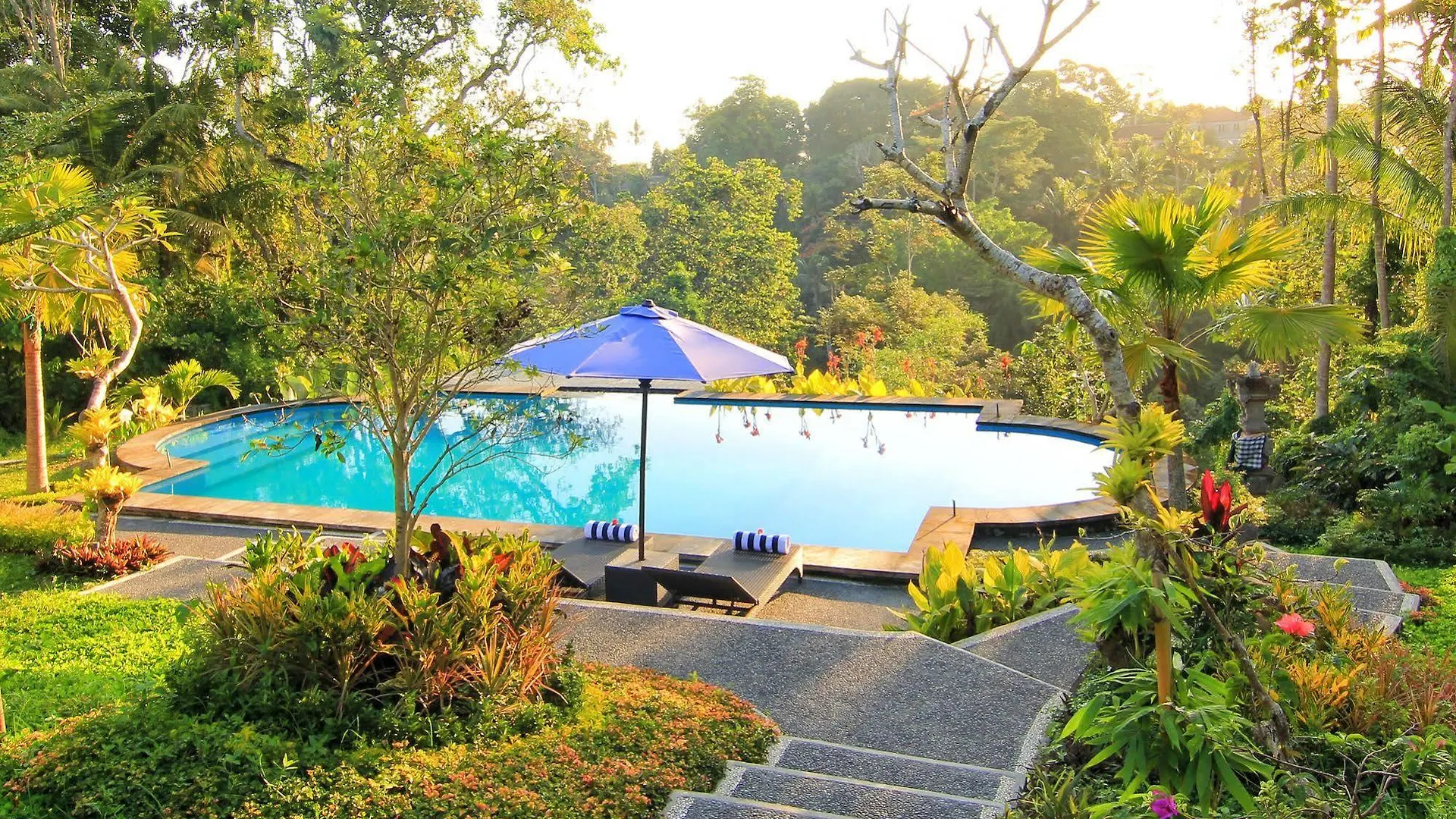 Villa Capung Mas Ubud