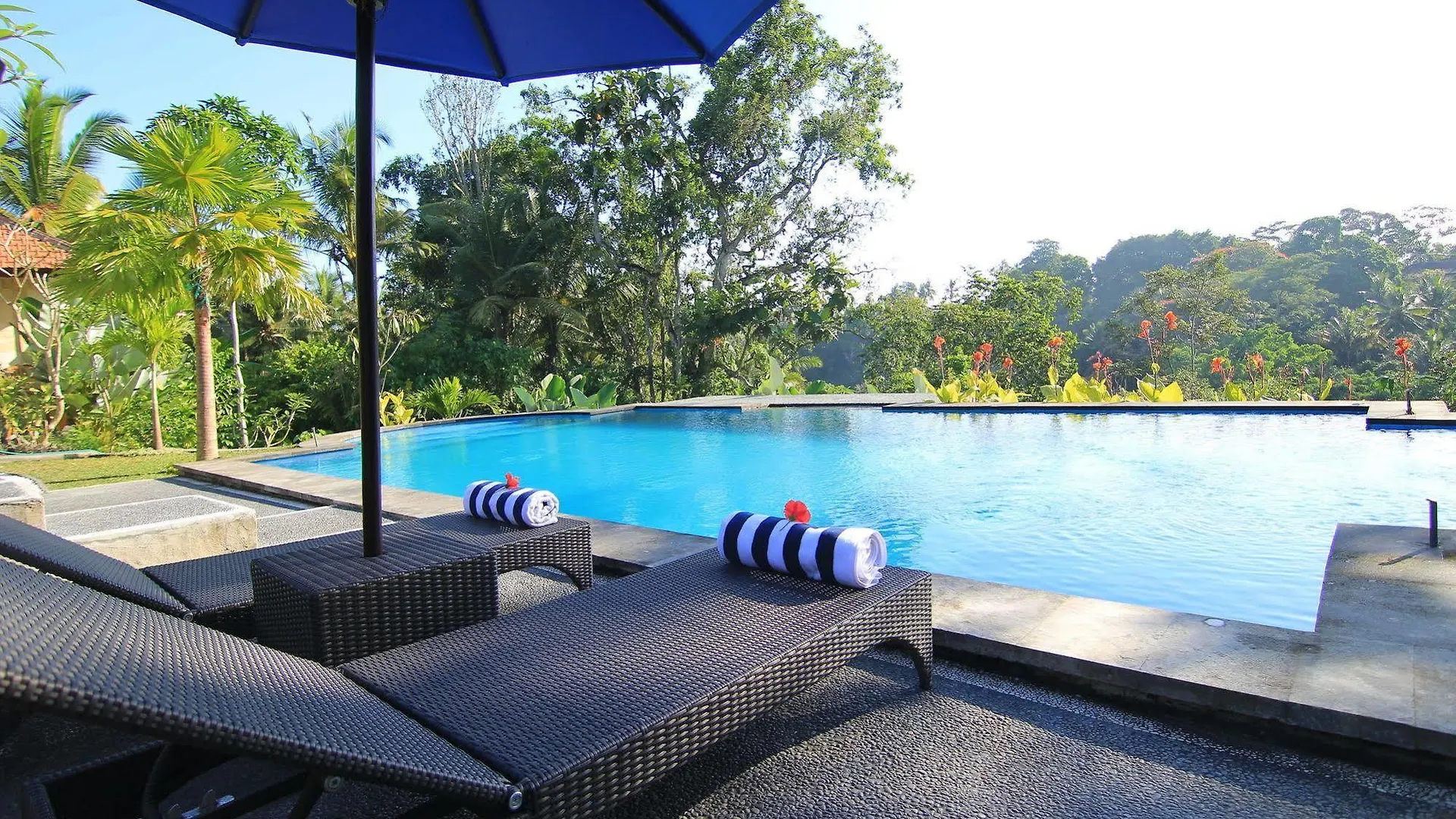 Villa Capung Mas Ubud Indonesië