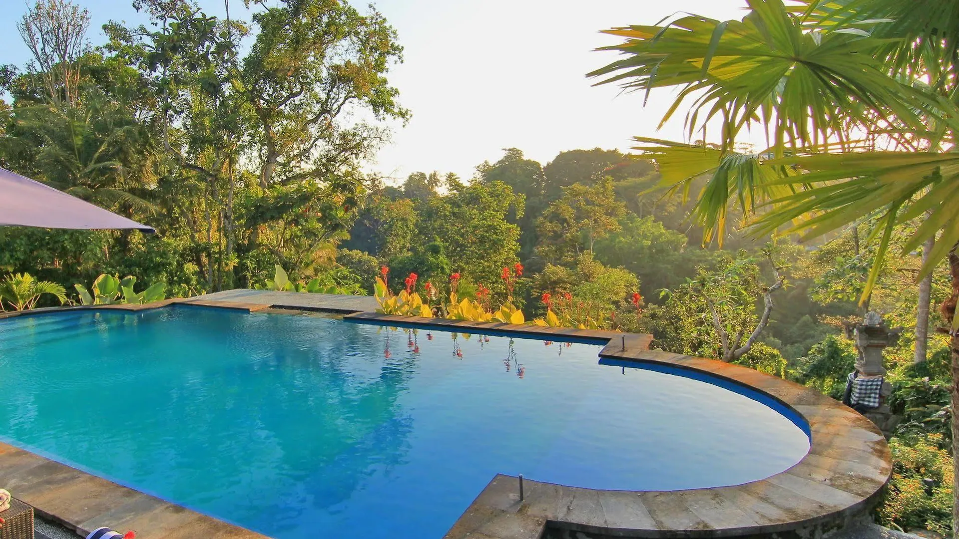 Hotel Villa Capung Mas Ubud