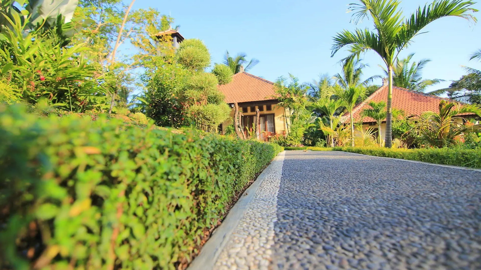 Hotel Villa Capung Mas Ubud Indonesië