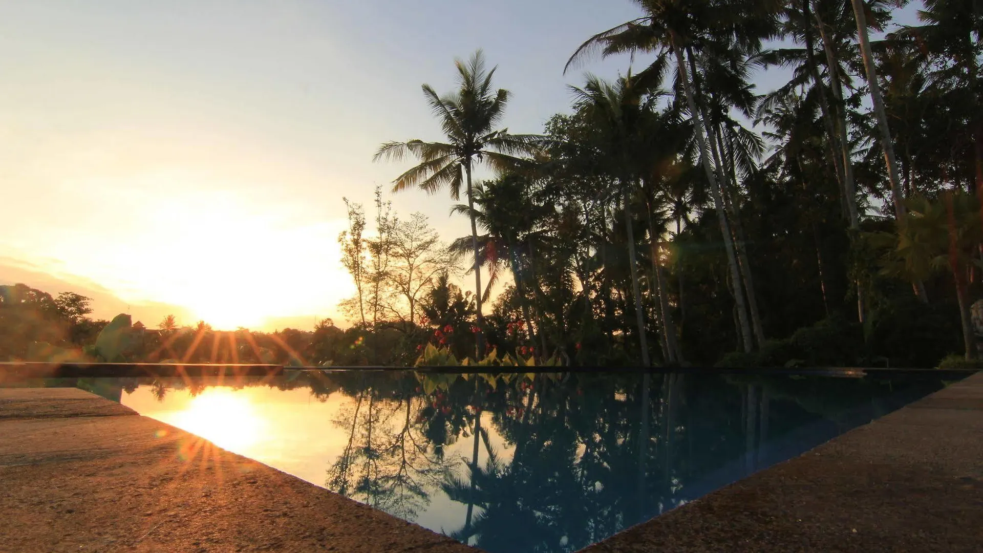 Villa Capung Mas Ubud