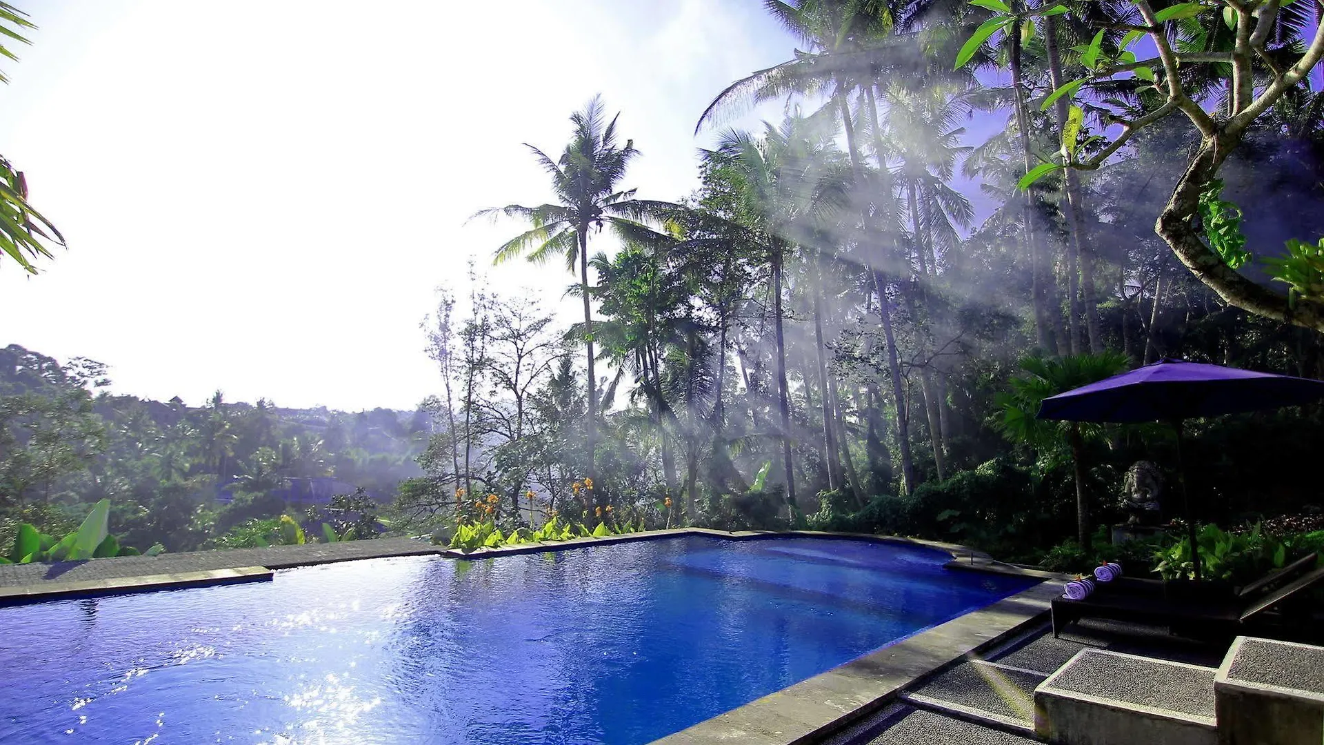 Villa Capung Mas Ubud